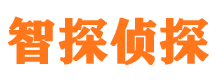 宝丰寻人公司